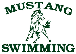 Dubuque Hempstead High School Boys-003