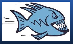 Piranhas Swim Club -003