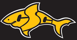 Columbia Swim Club-003