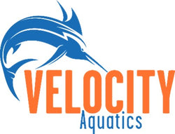 Velocity Aquatics-Teresa