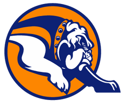 Mahomet-Seymour Swimming & Diving - 007