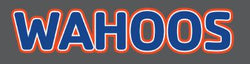 Algona YMCA Wahoos-003