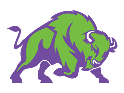 Buffalo Area Aquatic Club