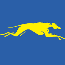 Carmel High School Swimming (004-HS)