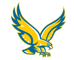 Wahlert Catholic High School Girls - 003