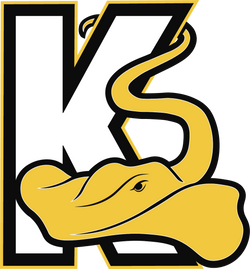 Knoxville Swim Team-003