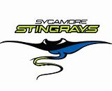 Sycamore Stingrays 005