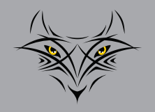 Fox Valley Swim Team - 007