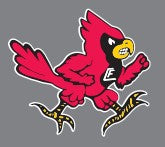 Chippewa Falls Girls Swimming - 002
