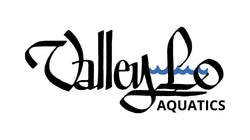 Valley Lo Swim Team - 007