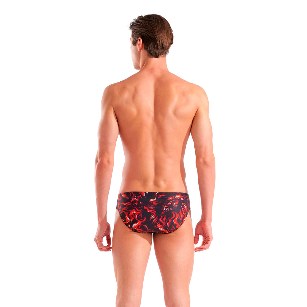 Arena Graphic Brief back
