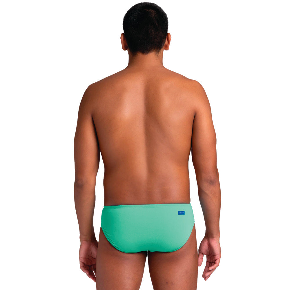 Jolyn Brolyn Solid Brief keylime back