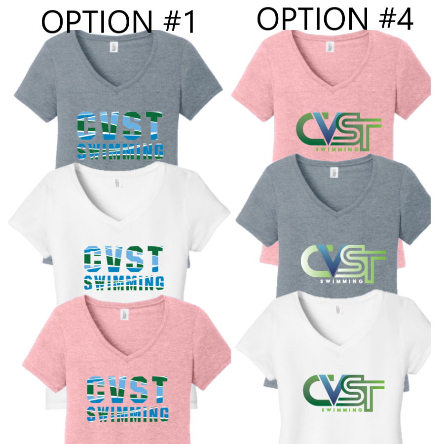 Carrollwood Ladies V-Neck T-Shirt